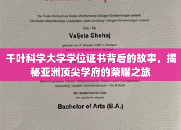 解码千叶科学大学，亚洲名校背后的辉煌学位传奇