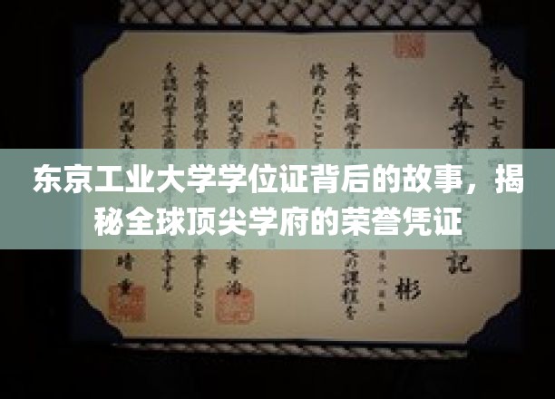 揭开东京工业大学学位证之谜，探寻全球精英学府的荣耀象征