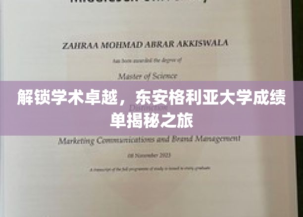 东安格利亚大学成绩单探秘，揭秘学术精英的卓越之路