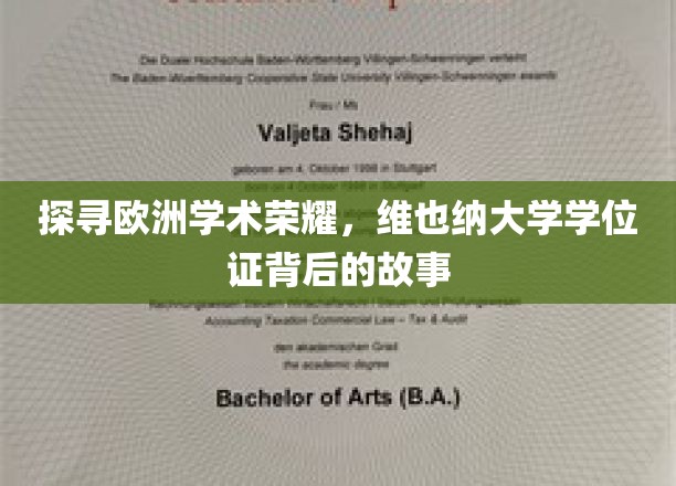 探寻欧洲学术荣耀，维也纳大学学位证背后的故事