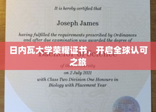 日内瓦大学荣耀证书，引领国际认可新篇章
