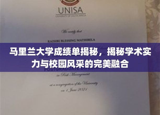 马里兰大学成绩单揭秘，展现学术实力与校园风采的完美融合