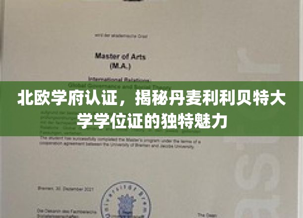 北欧学府认证，揭秘丹麦利利贝特大学学位证的独特魅力