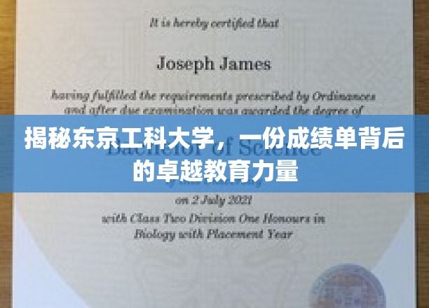 揭秘东京工科大学，一份成绩单背后的卓越教育力量