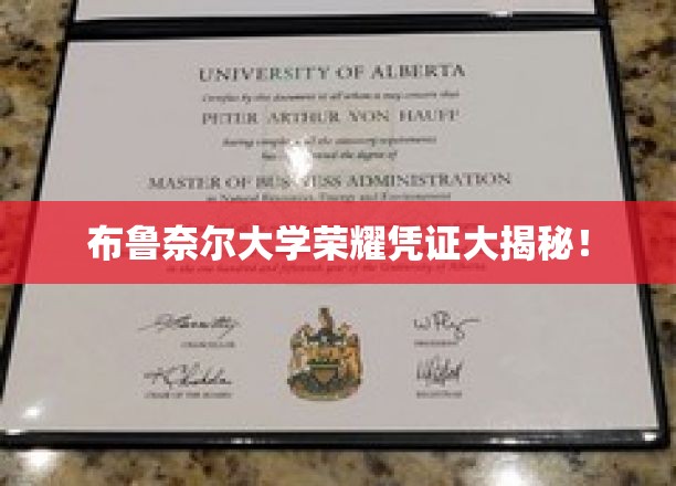 布鲁奈尔大学荣耀凭证大揭秘！