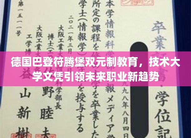 巴登符腾堡双元制教育革新，技术大学文凭铸就职业新航向