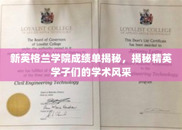 新英格兰学院成绩单揭秘，一睹精英学子们的学术风采