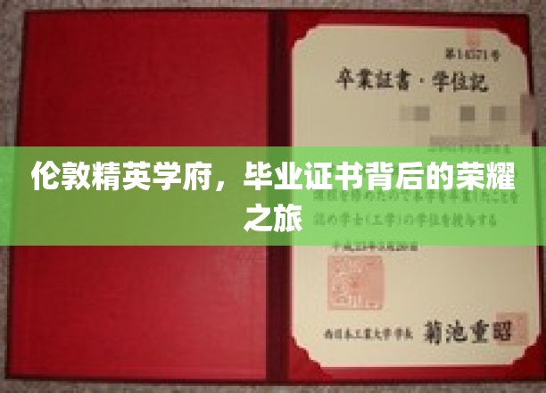 伦敦精英学府，毕业证书背后的荣耀之旅