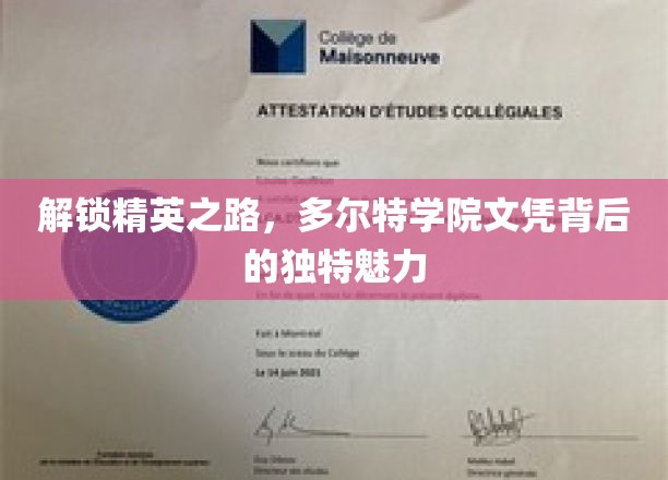解锁精英之路，多尔特学院文凭背后的独特魅力