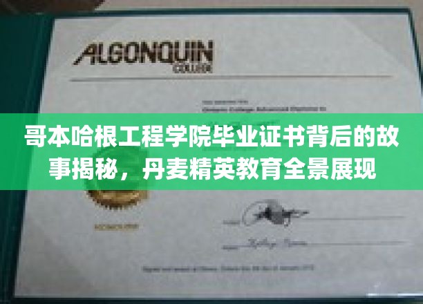 哥本哈根精英摇篮，毕业证书背后的丹麦教育传奇