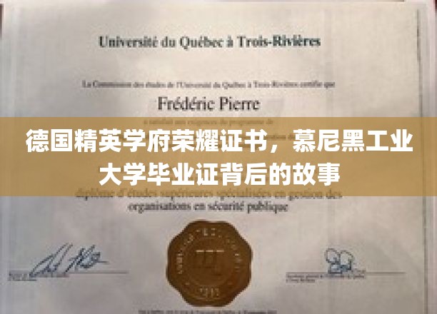 解码慕尼黑工业大学，荣耀证书背后的精英传奇