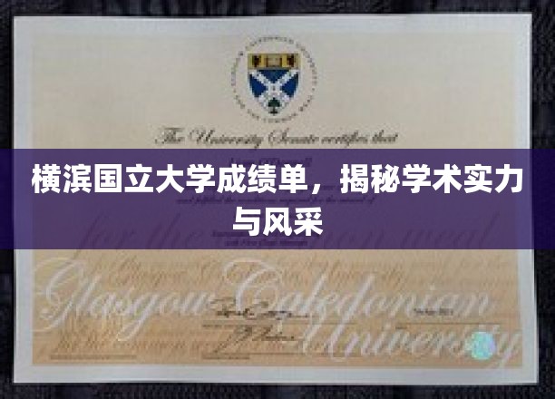横滨国立大学成绩单，揭秘学术实力与风采