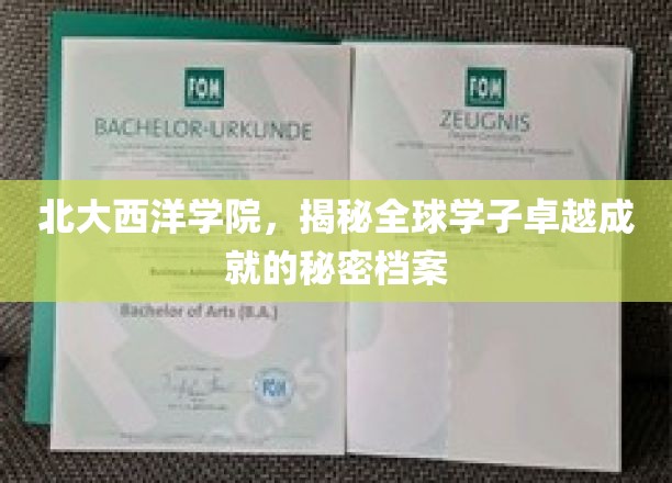 北大西洋学院，揭秘学子卓越成就背后的神秘力量