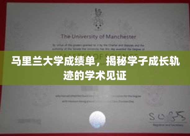 马里兰大学成绩单，见证学子成长轨迹的学术印记