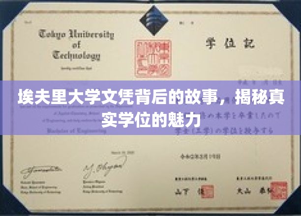学历背后的传奇，埃夫里大学文凭的神秘魅力探寻