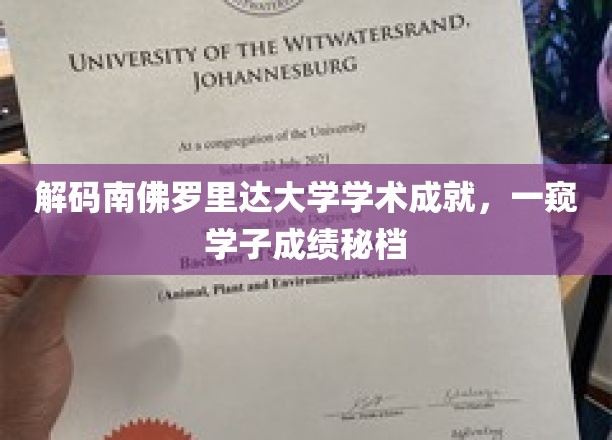 解码南佛罗里达大学卓越之路，揭秘学子成绩背后故事