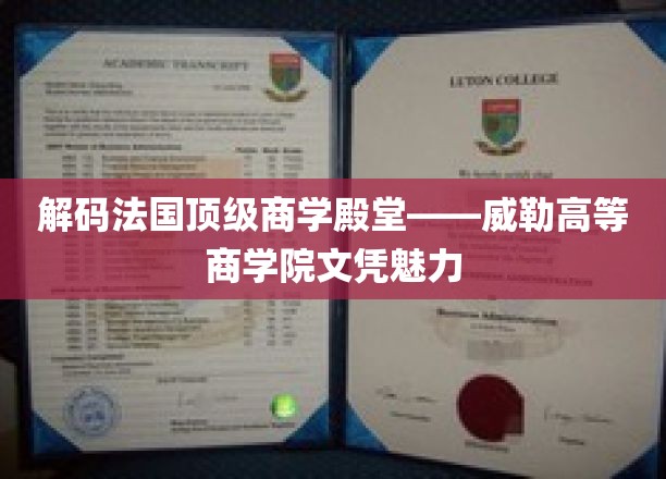 探寻法国商界明珠，威勒高等商学院文凭的非凡价值