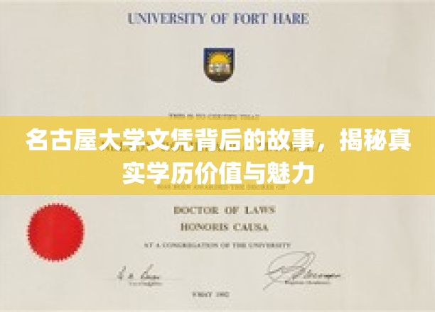 名古屋大学文凭，探寻学历背后的价值与非凡魅力