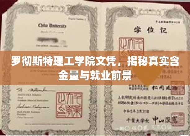罗切斯特理工学院文凭价值揭秘，揭秘就业前景与真实含金量