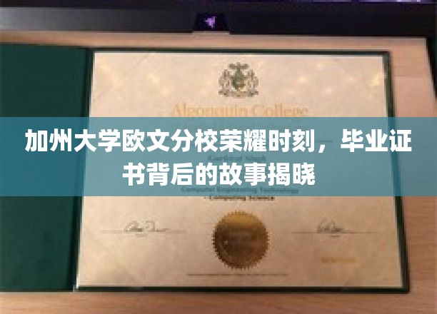 加州欧文之光，揭开毕业生证书背后的辉煌秘密