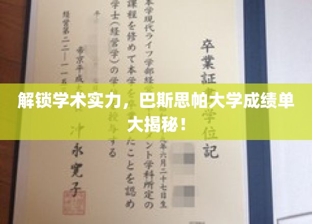 巴斯思帕大学揭秘，一窥学术成就背后的秘密宝藏