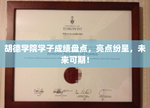胡德学院精英辈出，辉煌成就闪耀未来之路！