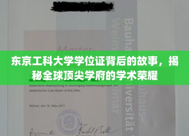 东京工科大学学位证背后的故事：揭秘世界顶尖学府的学术辉煌