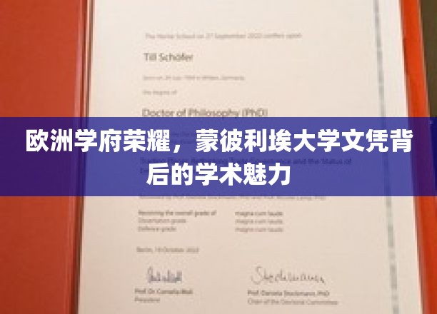 欧洲学府荣耀，蒙彼利埃大学文凭背后的学术魅力