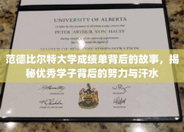 范德比尔特精英之路，揭开学霸背后的拼搏与汗水