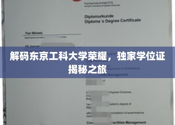 探索东京工科大学精英学位的神秘面纱