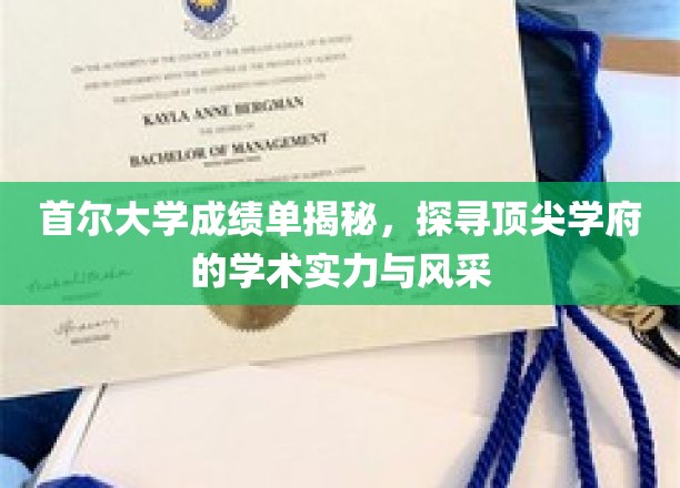 解码首尔大学，揭秘学术殿堂的卓越成就与独特魅力