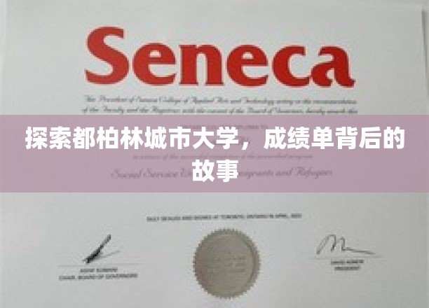 探索都柏林城市大学，成绩单背后的故事