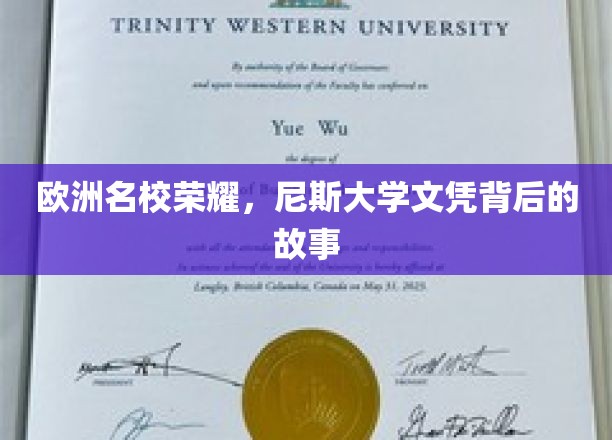 欧洲学府之光，揭秘尼斯大学背后的辉煌历程