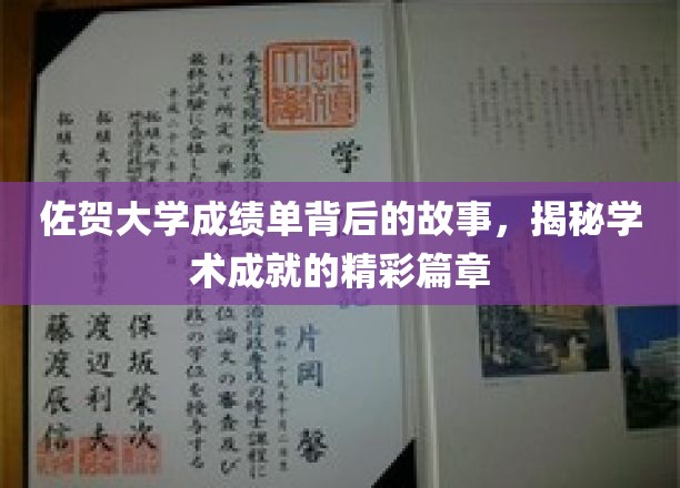 佐贺大学成绩单，揭开学子成就背后的传奇篇章