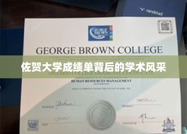 佐贺大学成绩单背后的学术风采