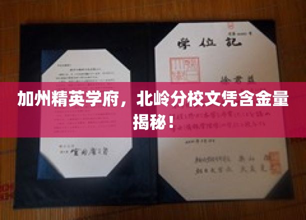 加州北岭分校，探究顶级文凭背后的价值与魅力
