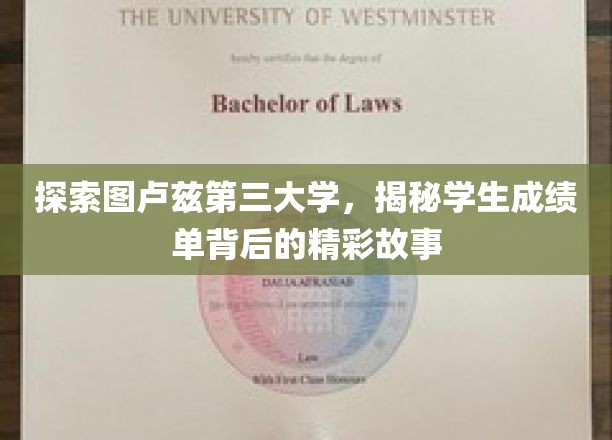 探索图卢兹第三大学，揭秘学生成绩单背后的精彩故事