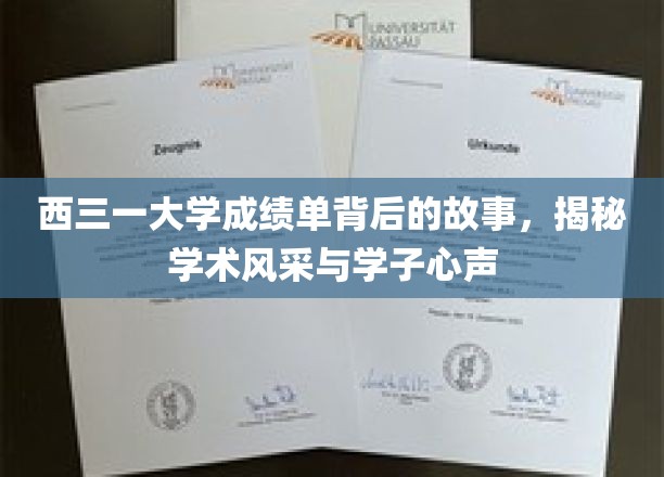 西三一大学成绩单背后，探寻学术之光与青春之声
