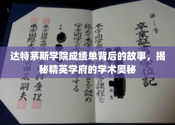 达特茅斯精英学子的成绩单传奇，一窥学术殿堂的秘密世界