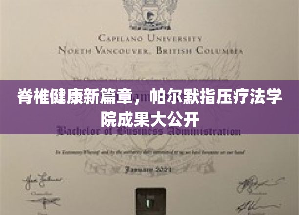 唤醒脊椎活力，帕尔默指压疗法学院革新成果惊艳亮相