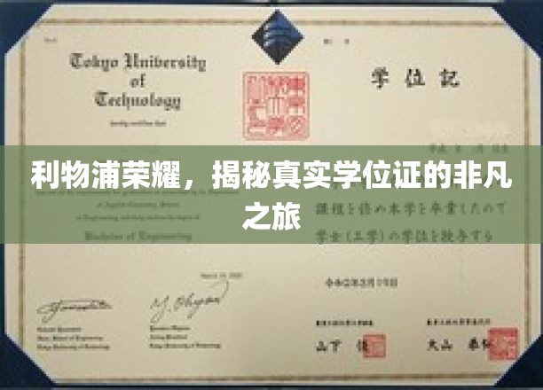 利物浦荣耀背后的学位证传奇，一场非凡的认证之旅