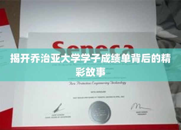 解码乔治亚精英学子背后的辉煌成就