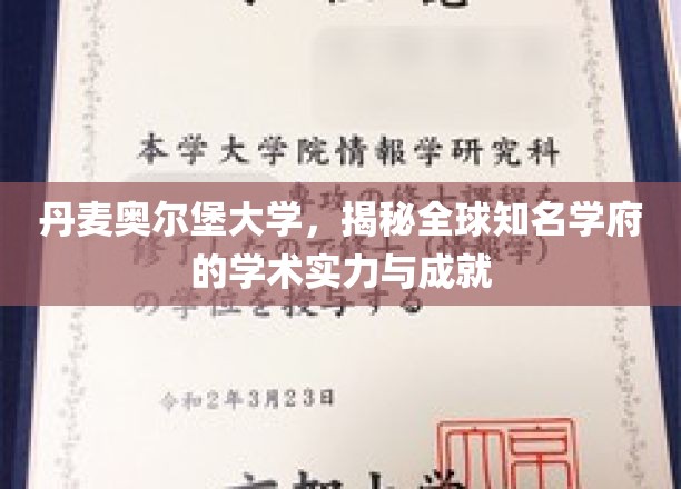 探寻丹麦奥尔堡大学的国际声望与卓越学术贡献