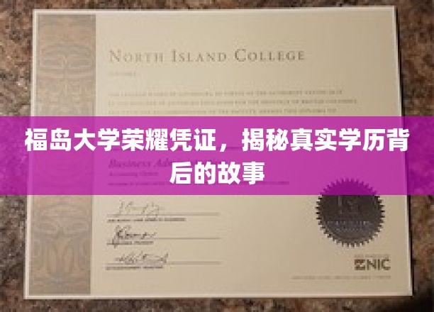 福岛大学学历背后的传奇，揭开荣耀凭证的神秘面纱