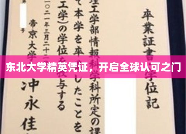 东北精英通行证，解锁全球认可新篇章