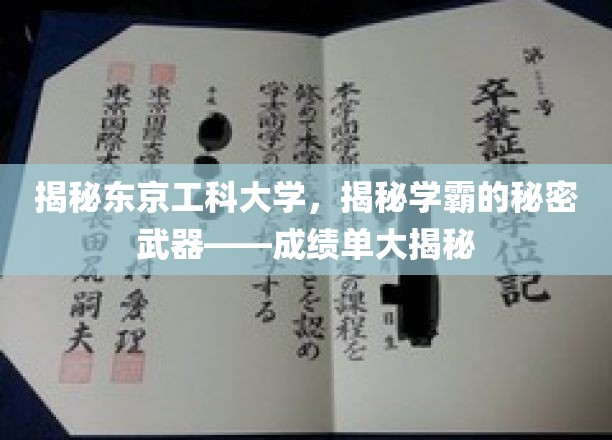 探索东京工科大学学霸养成记，揭秘学霸背后的成绩单秘密
