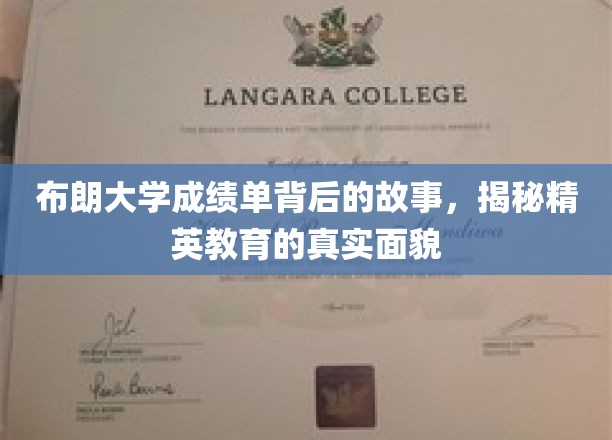 布朗大学成绩单背后的故事，揭示精英教育的真实面貌