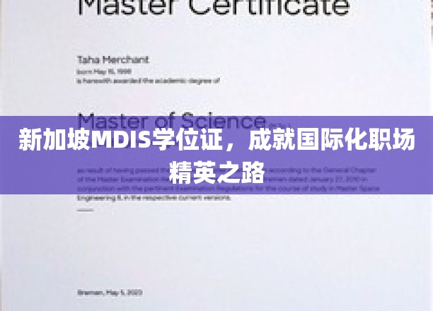 MDIS新加坡学位助力，开启职场国际化精英新篇章