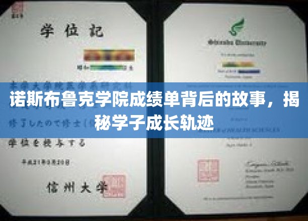 揭开诺斯布鲁克学子成长之谜，揭秘成绩单背后的成长故事