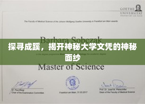 揭秘学历之谜，一探大学文凭背后的秘密世界